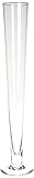 Extra Tall Flower Marker Clear Glass Vase [並行輸入品]