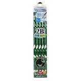 クツワ 鉛筆 スターライン 光る!学校えんぴつ 2B ダイナソーグリーン 10本 ST137GR