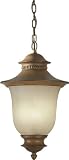 Forte Lighting 1728-03-41 Transitional 3-Light Exterior Hanging Lantern with Umber Linen Glass, Rust