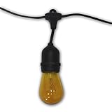 String Light Company Vintage 48-Ft Outdoor Commercial String Lights with 15 Suspended Sockets and 15