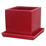 【4個入】インテリアポット/植木鉢カバー 【キューブ型 レッド 直径14cm】 底穴あり 受皿付 『タリーズ』 〔園芸用品〕 ds-1690083