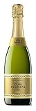 モリ パレリャーダ クロ ラ ソレヤ ブリュット ナチュレ グランレセルバ [ NV スパークリング スペイン 750ml ]