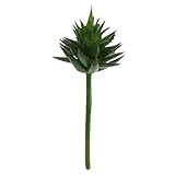Dovewill プラスチック製　造花　人工多肉植物　蓮　人工観葉植物　装飾用　24センチメートル　緑