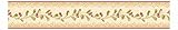 York Wallcoverings SM8419BDSMP Small Treasures Leaf Berry Scroll 8-Inch X 10-Inch Wallpaper Border M