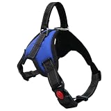 grooblue 犬用ハーネス 小型犬 中型犬 犬用胴輪 首輪 引っ張り防止 サイズ調整可能 夜間反射材 抜けない 通気性 簡単着脱 おしゃれ 安全 しつけ用 訓練 歩行補助 散歩 可愛い ブルー XSサイズ