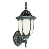 Trans Globe Lighting 4040 BK 1-Light Coach Lantern, Black [並行輸入品]