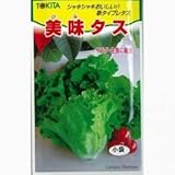西洋野菜 種 美味タス 小袋（約2ml）