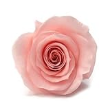 ~Coco Heart~ 　1輪で買える　プリザローズ・ルミエール ブライダルピンク　花直径約４ｃｍ　(ハンドメイド アレンジ　クリスマス　母の日　プリザブドフラワー・ローズ）