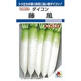 大根 種 藤風 小袋（約4ml）