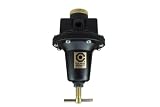 Coilhose Pneumatics 8808 Heavy Duty Series Regulator, 1-Inch Pipe Size by Coilhose Pneumatics