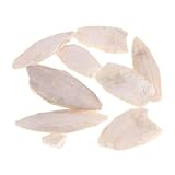 カトルボーン カトルイカ セピア 文鳥 鳥フード カルシウム ピックストーンペット 成長維持 天然 1バッグ