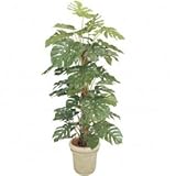 【人工植栽】　タカショー グリーンデコ鉢付 モンステラ　1.8m　GD-146