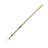 Spear & Jackson Traditional Stainless Steel Long Handled Weed Fork [並行輸入品]