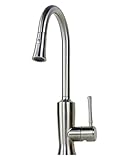 Ariel Venus Stainless Steel Pull Out Sprayer Kitchen Faucet [並行輸入品]