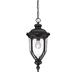 Acclaim 2216BK Laurens Collection 1-Light Outdoor Light Fixture Hanging Lantern, Matte Black [並行輸入品]