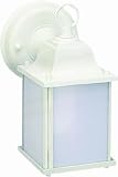 Volume Lighting V6898-6 1-Light Outdoor Wall Sconce, White [並行輸入品]