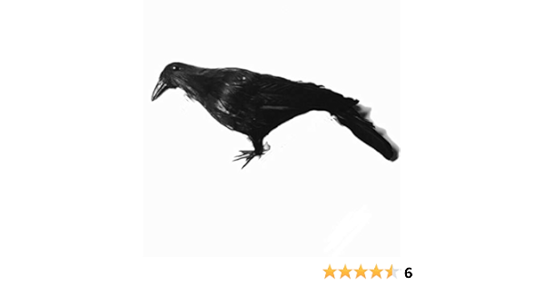 Amazon Co Jp Felizly カラス オブジェ バード 置物 装飾 Artificial Birds カラス カラス除け 鳥よけ 退治 駆除 フィギュア リアル 怖がらせ 対策 防鳥 庭 ベランダ 畑 田んぼ ゴミ置き場 小道具 小物 パーティー Crow Lサイズ ホーム キッチン