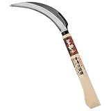 若獅子 SKノコ鎌 普通目