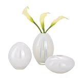 Torre & Tagus 901429 Assorted Lustre Vases, Mini, White, Set of 3 [並行輸入品]