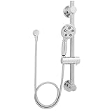 Speakman VS-3411 Alexandria Anystream Handheld Shower Head With Hose and 24-Inch ADA Grab Bar, Polis