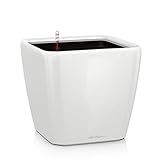 レチューザプランター：クアドロ・ジョーカー21cm ホワイト潅水装置付