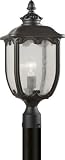 Forte Lighting 1821-01-04 Traditional 1-Light Exterior Post Mount Lantern with Clear Seeded Glass, B