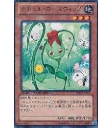 Amazon.co.jp: 遊戯王カード ナチュル・パルキオン DT05-JP038SCR 