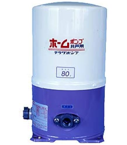 Amazon.co.jp: テラル 深井戸用 インバータポンプ PG-302FDC 50Hz/60Hz 