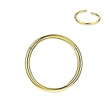 FANSING 316l サージカルスチール ヒンジ ノーズリング フープ 20G 18G 16G 14G 12G 10G 8G 6G、直径 5mmから22mm、ゴールド - ローズゴールド - シルバー - ブラック - ブルー - レインボー, 金属