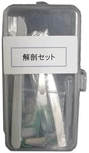 Amazon いわしや 解剖セット 生物 動物 人体 おもちゃ