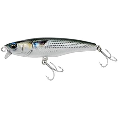 Amazon.co.jp 最新リリース: オフショアプラグ の新着ランキングです。