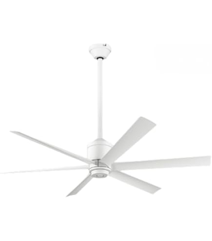 Amazon.co.jp: [セット品]2点セット(シーリングファン本体 、延長