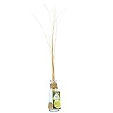 ノルコーポレーション ルームフレグランス リードディフューザー シェアウィズ OA-SHW-1-1 ベルガモットの香り 30ml