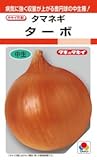 【種子】タマネギ ターボ 3ml