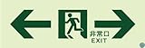 消防用設備等認定品　高輝度蓄光式誘導標識（壁用/ステッカータイプ） Ａ級品　ＡＳＮ９０３　両矢印　１００ｍｍ×３００ｍｍ（通路誘導標識）