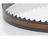 Timber Wolf 70 1/2 x 3/16 x 10 tpi band saw blade [並行輸入品]