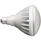 岩崎電気 LEDアイランプ18W電球色/本体白タイプ 屋内外兼用 LDR100/200V18L-H/W/730