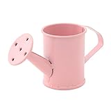 不二貿易 ブリキ小物入れ ジョウロ型 ピンク 13442