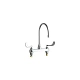 Chicago Faucet 1100-GN8AE35-317AB Hot and Cold Water Sink Faucet [並行輸入品]
