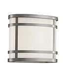 Transglobe Lighting 40200 SL Outdoor Wall Light with White Acrylic Shade, Silver Finished [並行輸入品]