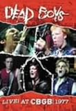���C��!�A�b�gCBGB 1977
