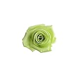 florever　フロールエバー　フレッシュルックスプレーローズ　シトラスグリーン　8輪　Φ3.5～4.5cm　 プリザーブドフラワー　Spray Rose　Citrus Green
