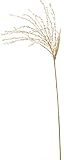 asca 造花 ススキ 穂43cm・葉長20cm ナチュラル A-42345-044