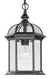 Acclaim 5276BK Dover Collection 1-Light Outdoor Light Fixture Hanging Lantern, Matte Black [並行輸入品]
