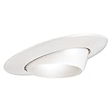 Sea Gull Lighting 11136AT-15 5-Inch Eyeball Recessed Light Trim, White [並行輸入品]
