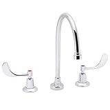 Speakman Commander SC-3004-8-LD-E 8 In. Gooseneck Widespread Lavatory Faucet [並行輸入品]