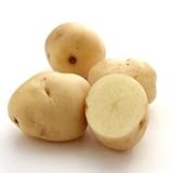 じゃがいも 種芋 西豊 1kg 入り