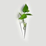 壁掛け式 2 PCS 花瓶ガラス 植物 花 装飾 花瓶 ボトル 壁にぶら下げ クリア ガラス 水耕栽培 プレゼントプランターコンテナ 飾り 結婚式飾り　容器　2本入り (A)