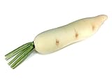 大根ルートVegetableホワイトCarrotフェイクFood Fruit人工リアルなシミュレーション人工フェイクフルーツジャガイモ野菜フェイクタトゥー