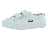Lacoste Marcel L Cla幼児の靴サイズ6.5